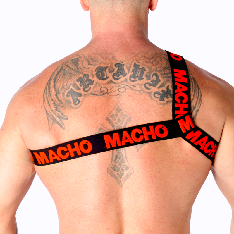MACHO - ROMAN HARNESS