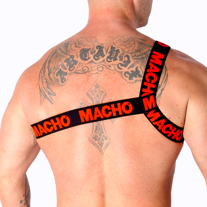 MACHO - ROMAN HARNESS