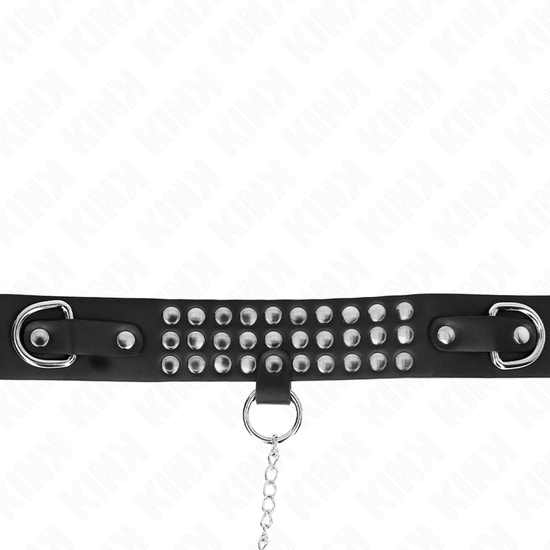 KINK - COLLAR CON CORREA DE 65 CM CON AJUSTABLE BRILLANTE DE 37-42 CM X 5.3 CM