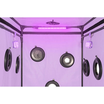 SECRET DOME - KINK CLUB CABIN SCANDALE PURPLE