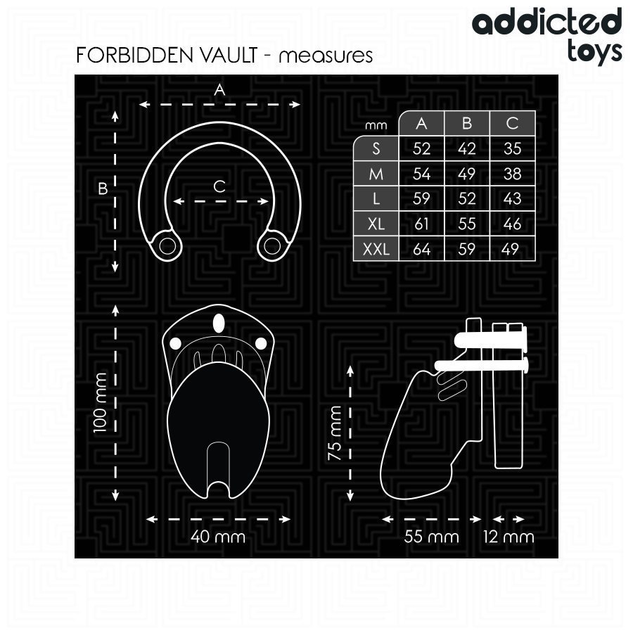 ADDICTED TOYS LOCKED - VAULT INTERDITE CAGE DE PÉNIS 10 CM