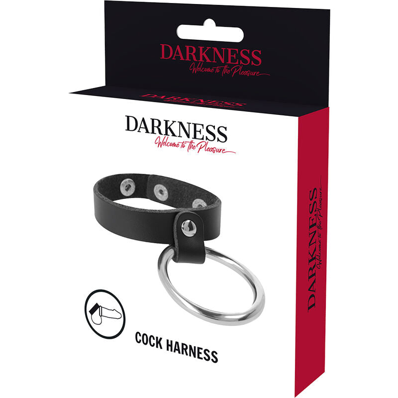 DARKNESS - METAL RING FOR THE PENIS AND TESTICLES