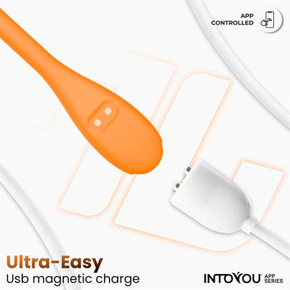 INTOYOU APP SERIES - LOGAN VIBRATING EGG WITH APP UNIBODY SILICONE ORANGE
