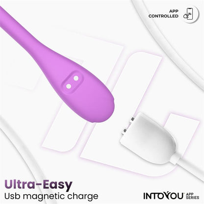INTOYOU APP SERIES - LOGAN VIBRATING EGG WITH APP UNIBODY SILICONE PURPLE