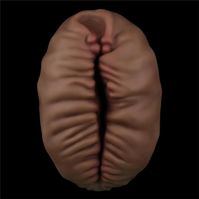 LOVETOY - MASTURBATOR ALIENS PIE 2