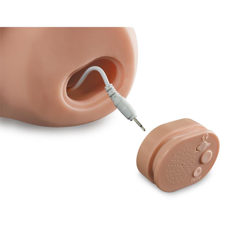 PDX MALE - MASTURBATOR DOUBLE ENTRY DIRTY TALK INTERACTIVE