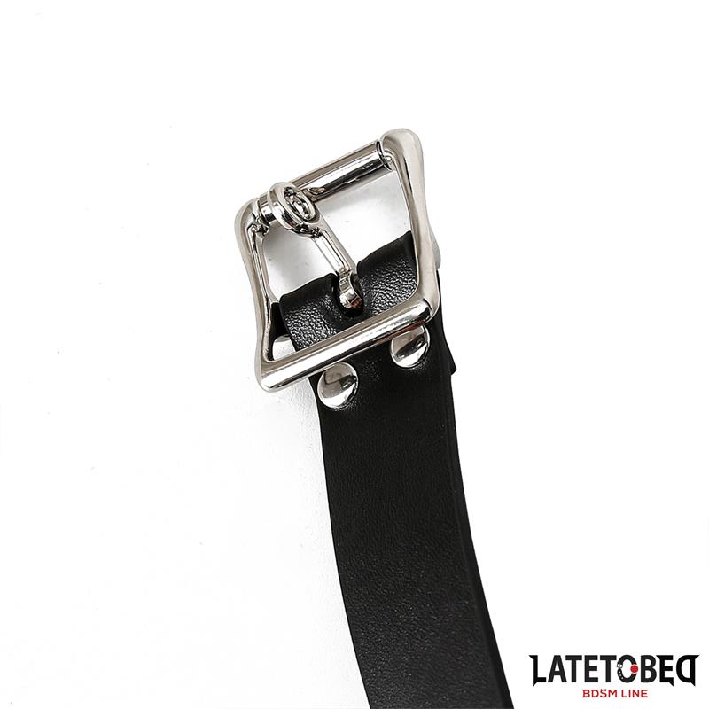 LATETOBED BDSM LINE - DOUBLE PENIS GAG