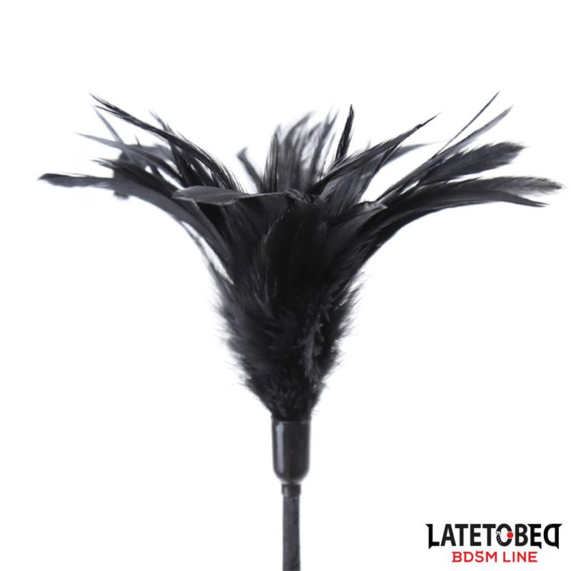 LATETOBED BDSM LINE - MULTI FEATHERS TICKLER AND LACE RIBBON PADDLE COMB