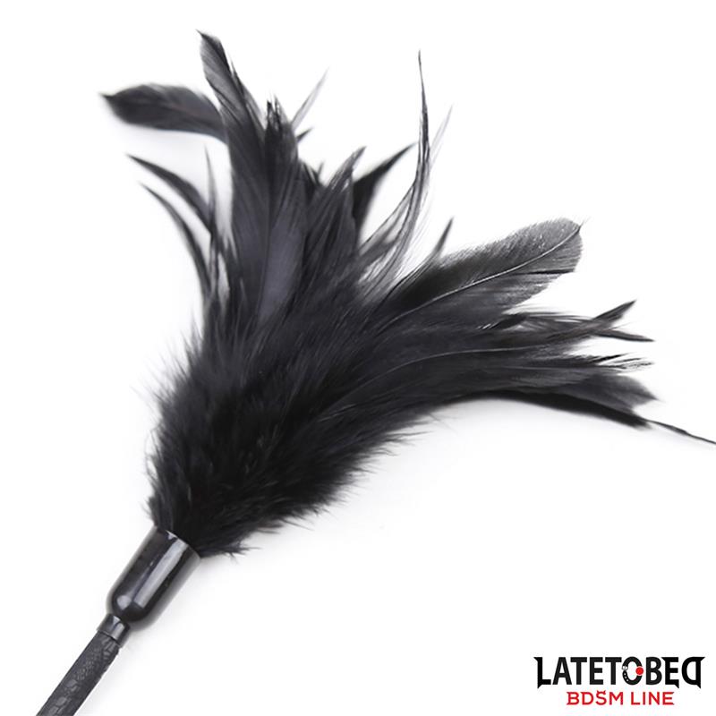 LATETOBED BDSM LINE - MULTI FEATHERS TICKLER AND LACE RIBBON PADDLE COMB