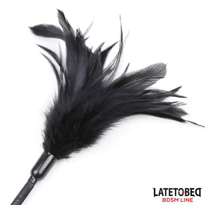LATETOBED BDSM LINE - MULTI FEATHERS TICKLER AND LACE RIBBON PADDLE COMB