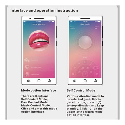 PRETTYLOVE - NYMPH VIBRATING EGG WITH MOVIL APP