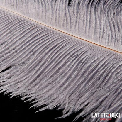LATETOBED BDSM LINE - OSTRICH FEATHER 44 CM