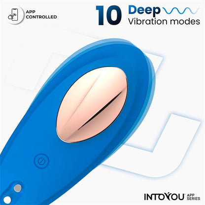 SÉRIE D'APPLICATIONS INTOYOU - VIBRATEUR CULOTTE EN SILICONE BLEU AVEC APPLICATION