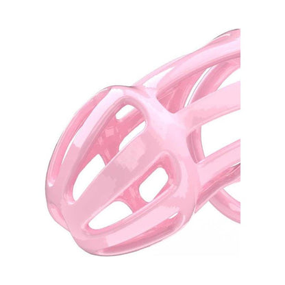 PENIS CAGES - PENIS CAGE PC02