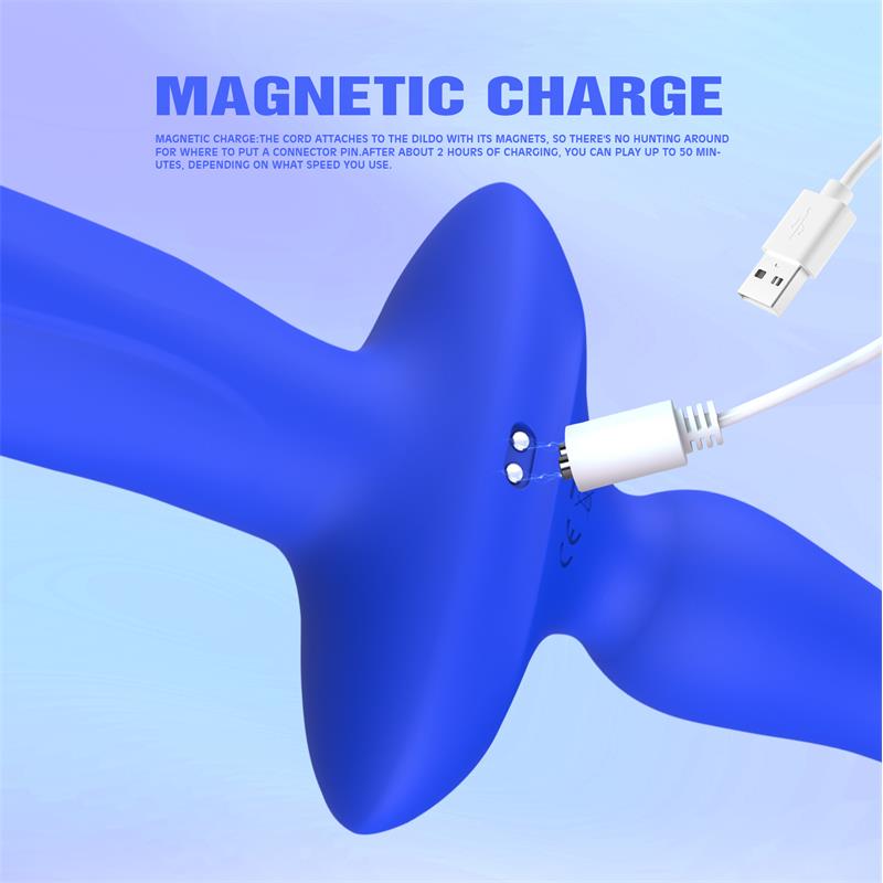 CHISA - RITTER VIBE AND BUTT PLUG
