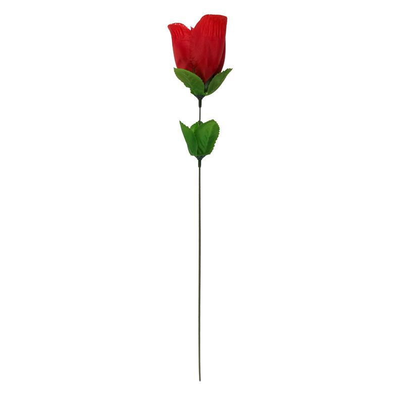 OOTB - ROSE WITH RED G-STRING