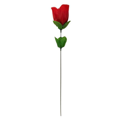OOTB - ROSE WITH RED G-STRING