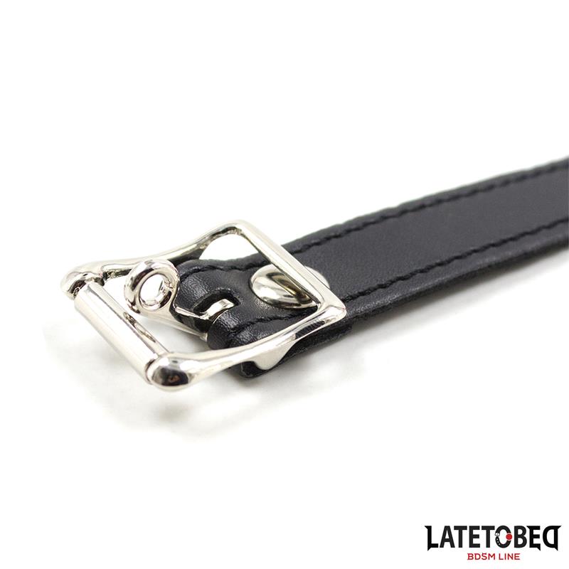 LATETOBED BDSM LINE - SILICONE BALL GAG  PINK