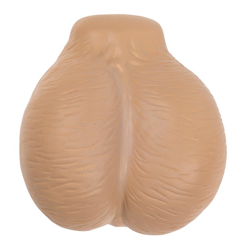 OOTB - SQUEEZE SEXY DISPLAY 12 PIECES ASSORTED