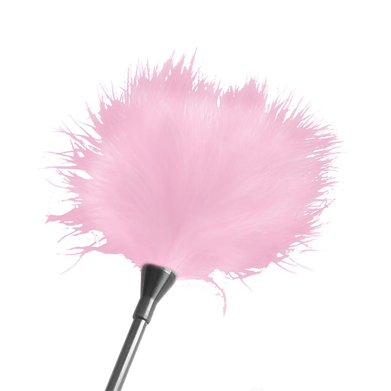 TALOKA - KAMASUTRA CHECKBOOK 12 COUPONS