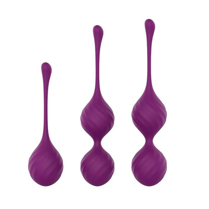 ENGILY ROSS - TAYLOR 2.0 KEGEL BALLS SILICONE PURPLE