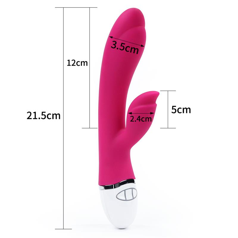LOVETOY - VIBE DREAMER II USB ROSE RED