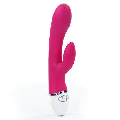 LOVETOY - VIBE DREAMER USB ROSE RED