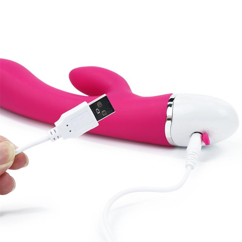 LOVETOY - VIBE DREAMER USB ROSE RED