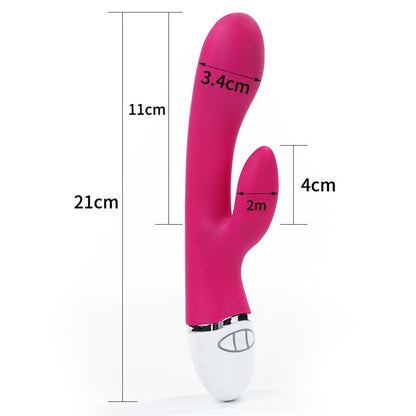 LOVETOY - VIBE DREAMER USB ROSE RED