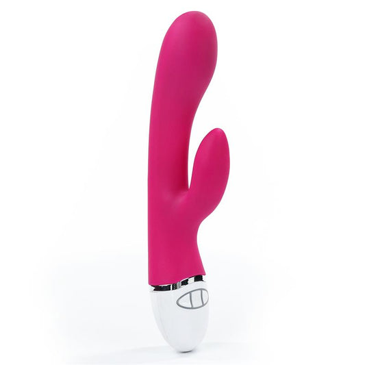 LOVETOY - VIBE DREAMER USB ROSE RED