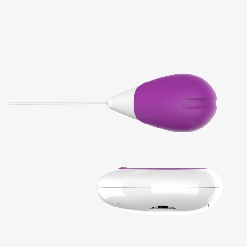 A-GUSTO - VIBRATING EGG WITH REMOTE CONTROL USB PURPLE