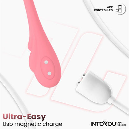 INTOYOU APP SERIES - VIBRATING EGG WITH WAVING AND APP USB